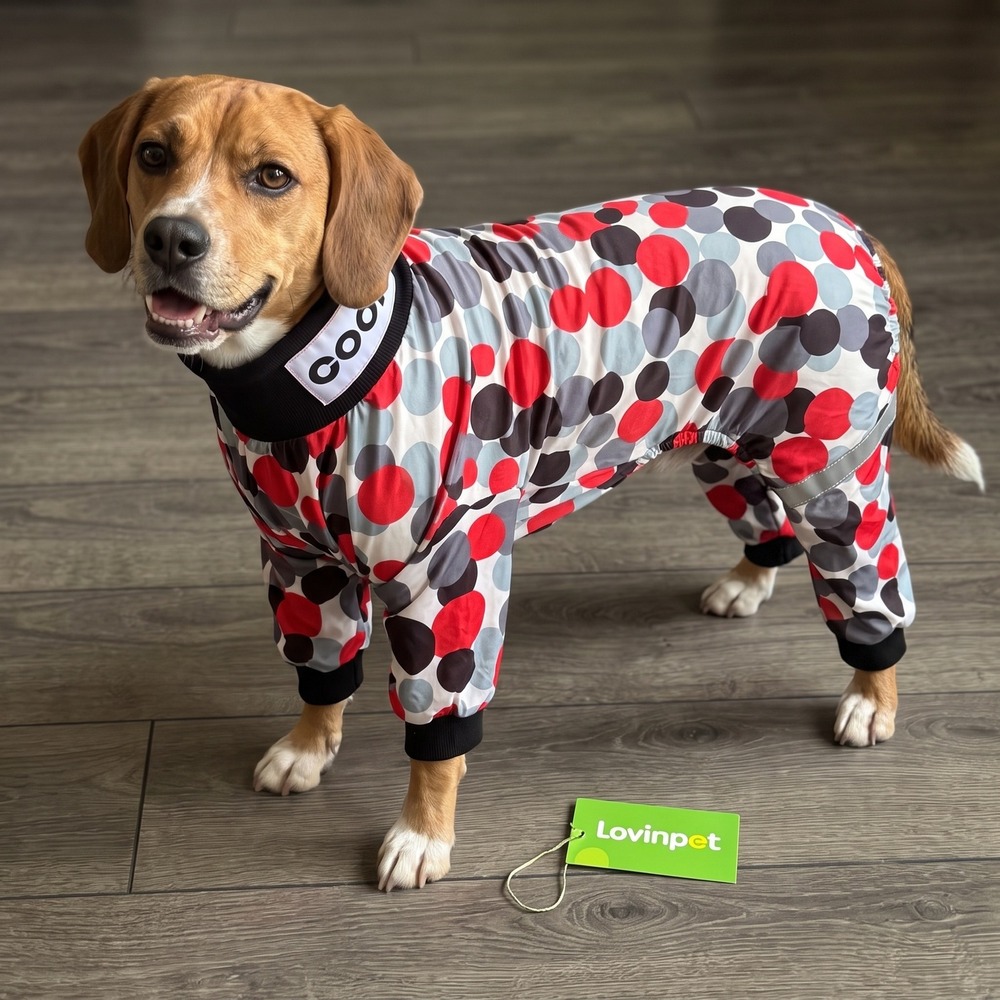 Lovinpet Dog Pajamas Large Red Grey Black Polka Dot Full Body‎ jumpsuit NWT